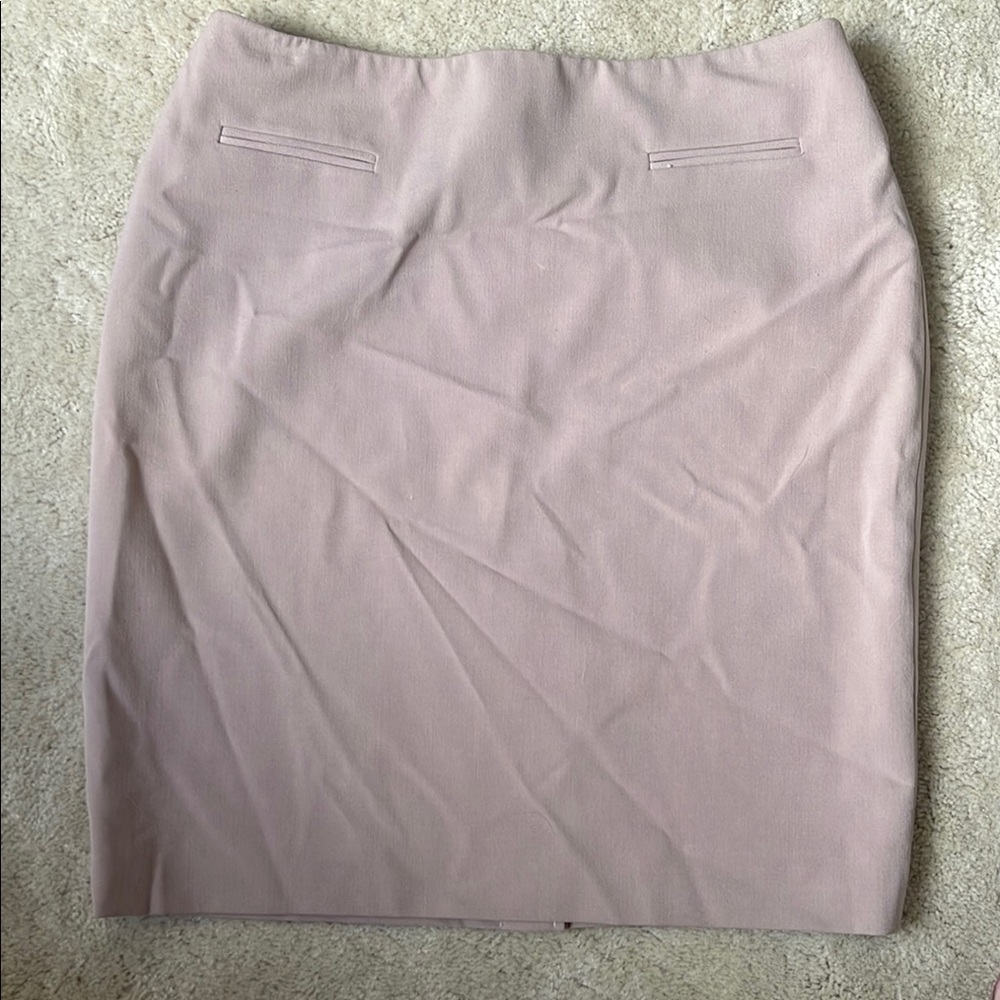 Elegant Pink Women's Skirt